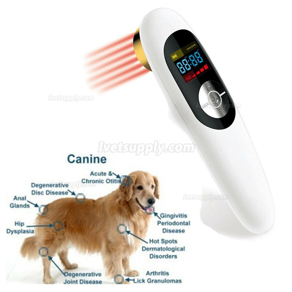 Veterinary Use Animals Clinic Pets Dogs Cats Horses 808nm Laser Therapy Device